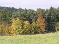 Podzimní festival ptactva nebo štrúdlobraní